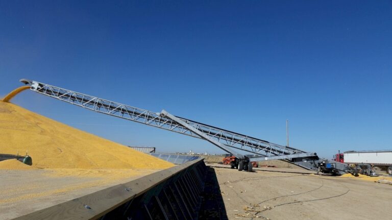 30000 BPH Transport Conveyor 768x431