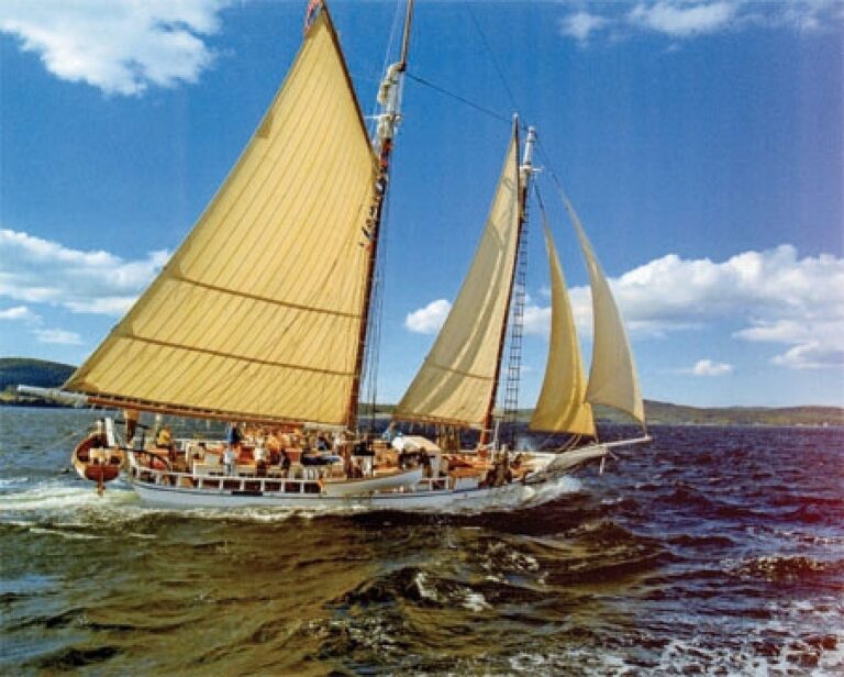 6a9fca4e94c8520e2ceee340 schooner 768x616
