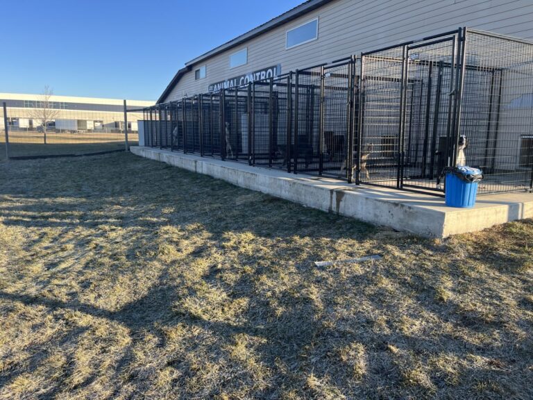 Lee County Animal Shelter 768x576