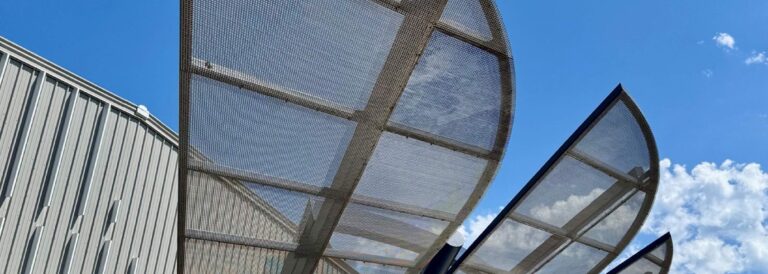 barn owl 768x274