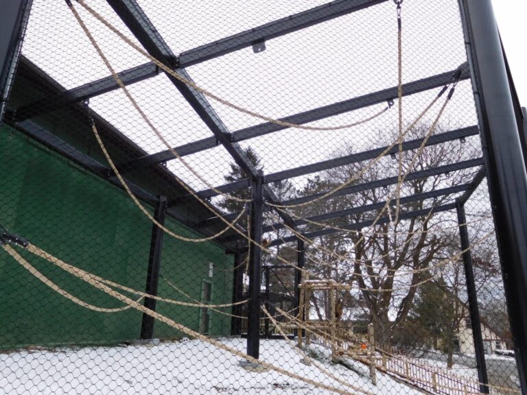 utica zoo gibbon house 2 768x576